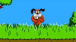 duck-hunt-dog