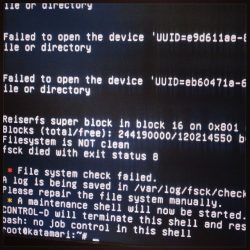 917827_1377353732513456_1651591163_n