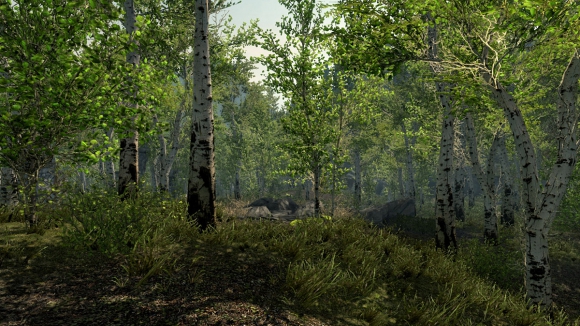 The Elder Scrolls V: Skyrim