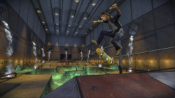 Tonys äldste son, Riley Hawk, är med på fansens begäran.